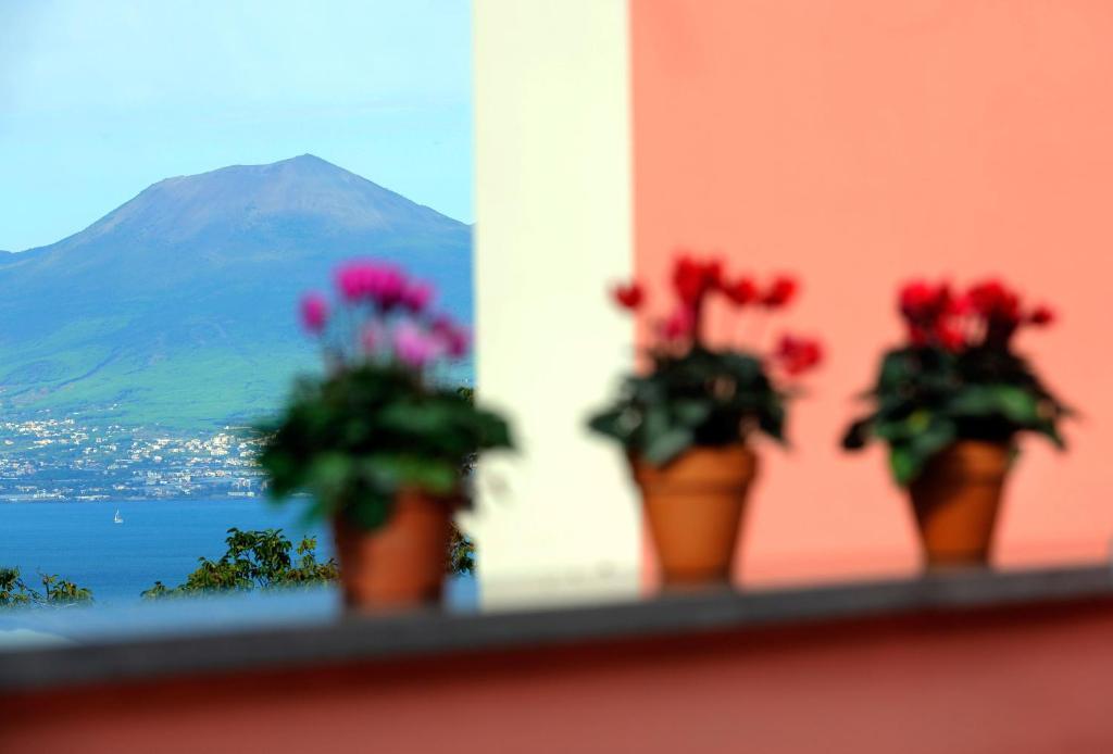 Domus Aequana Bed & Breakfast Vico Equense Exterior foto